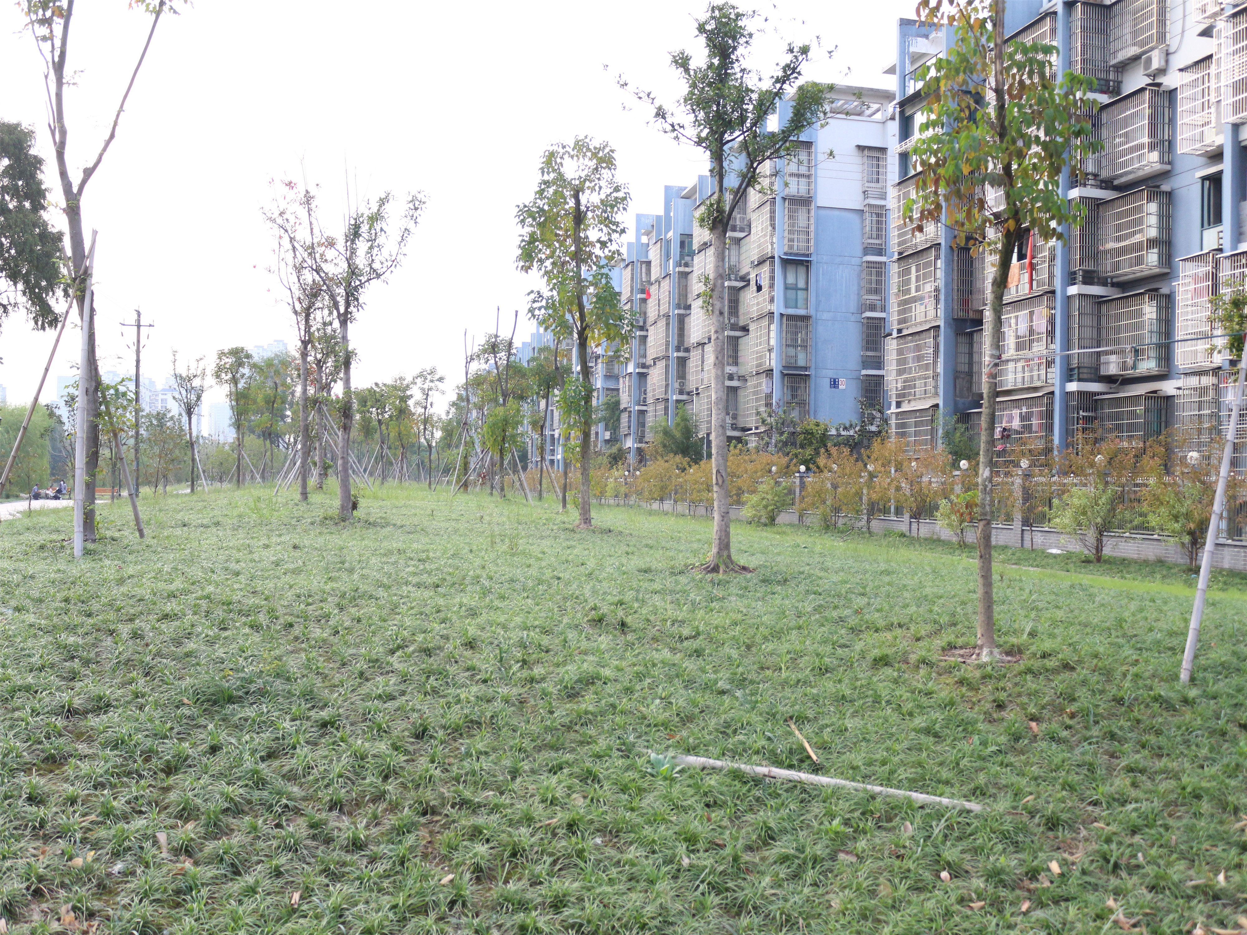 Yingchun Nanyuan compound photo 17