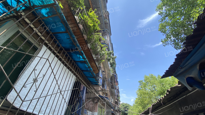 高攀路17号外景图