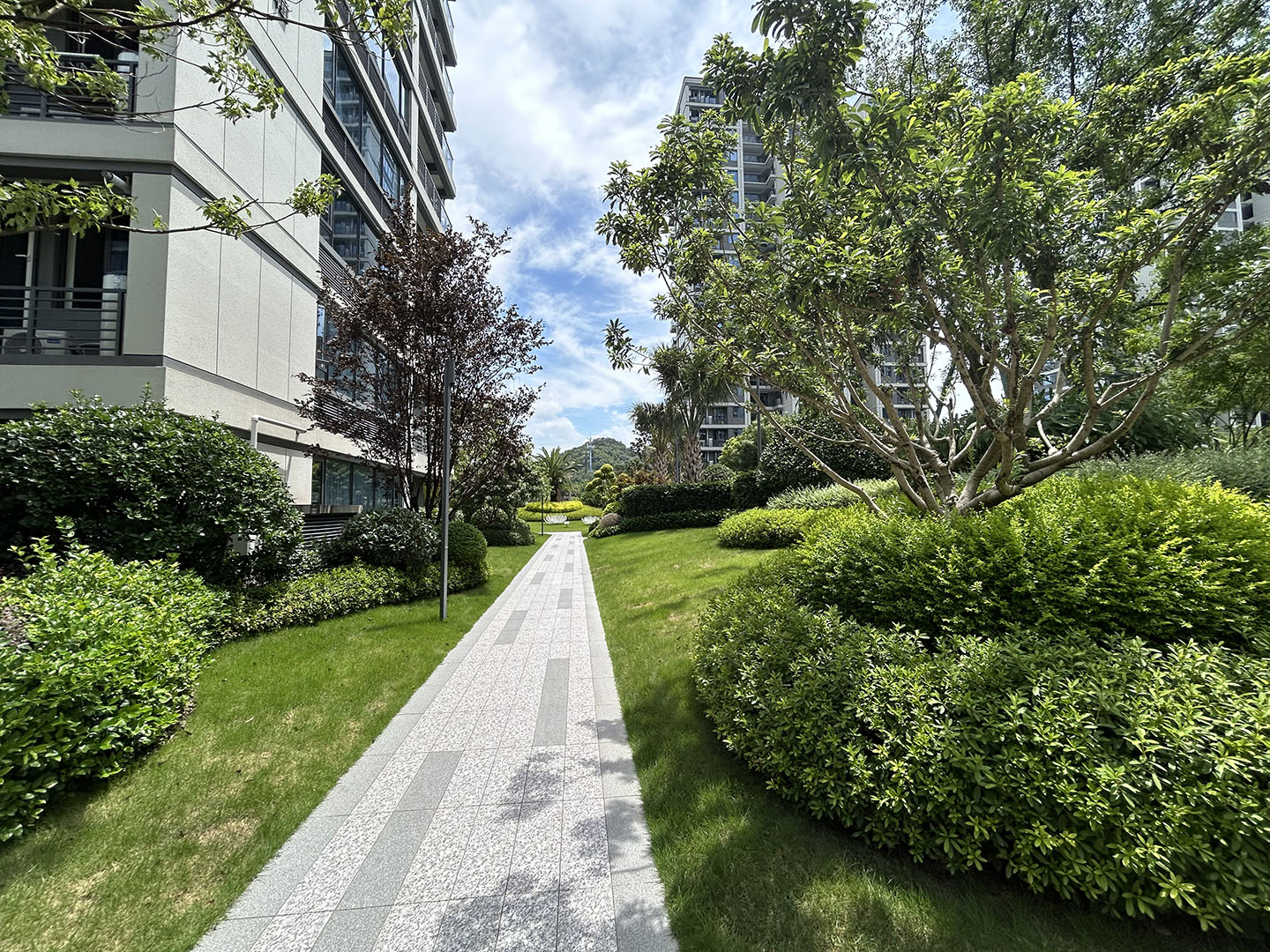 滨耀学府小区实景 19