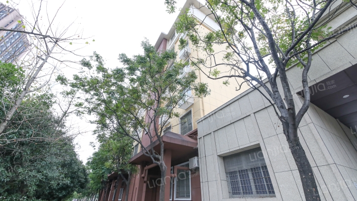 青山湖南大道262号外景图