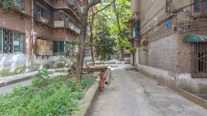 罗汉营小区外景图