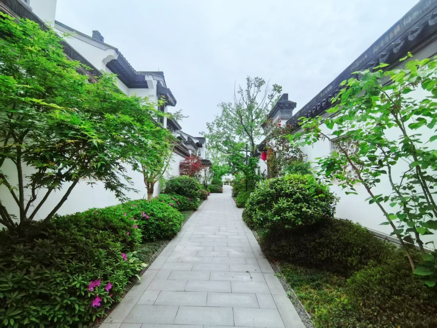 South Lake Moon  compound photo 9