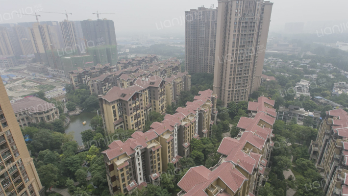 龙城国际外景图