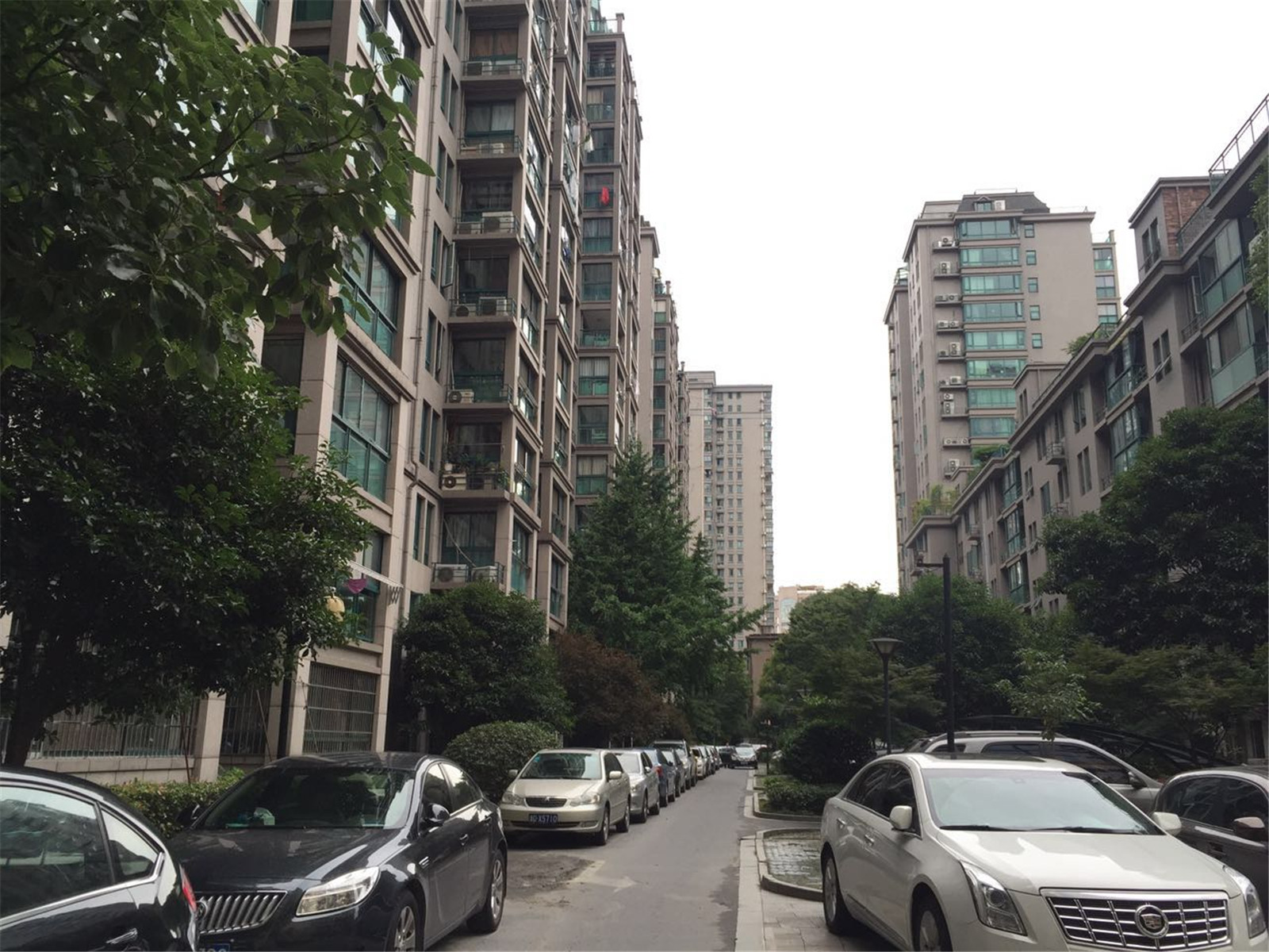 浅水湾城市花园小区实景 23