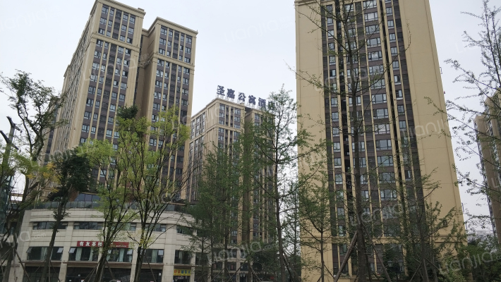 金科中心外景图