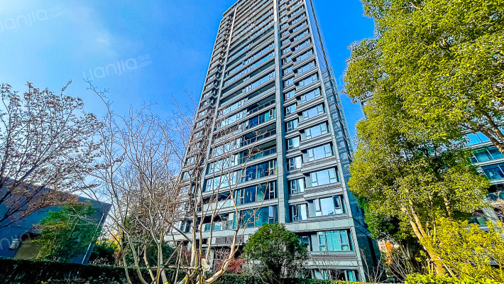 春风景里外景图