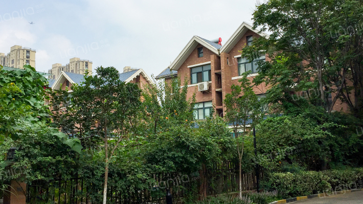 龍泊聖地外景图