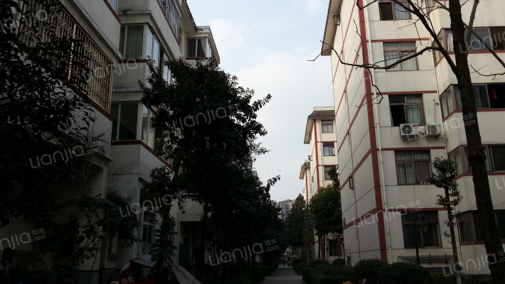 惠民东苑外景图