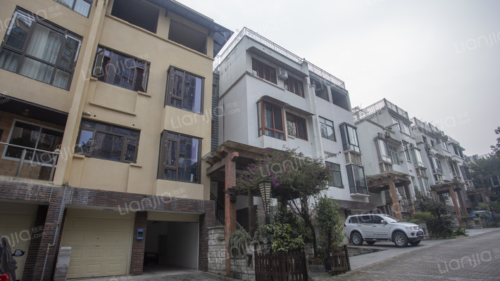 大鼎湖滨印象外景图