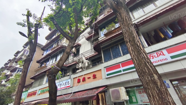 冻青树街52号外景图