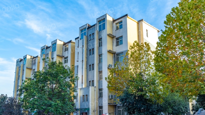 安联11公里外景图