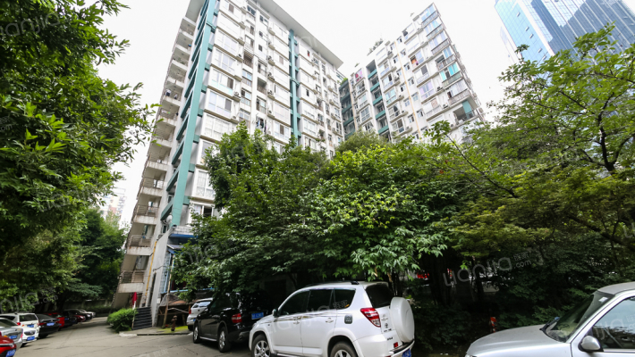 樱花假日外景图