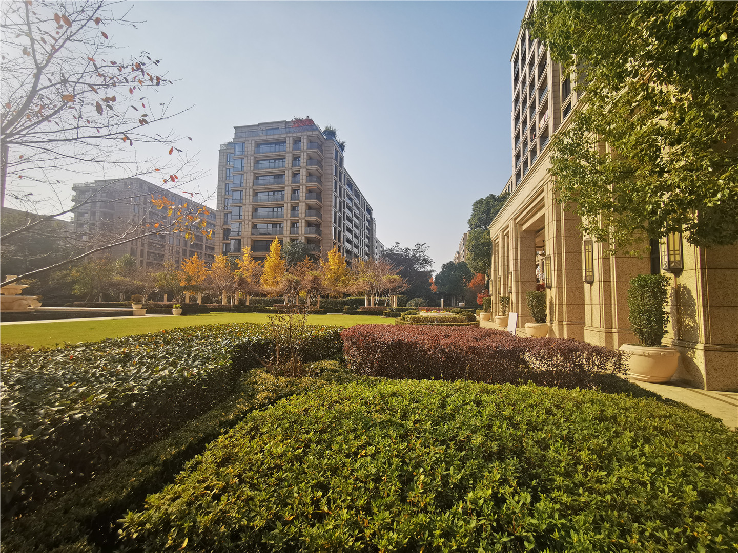 西溪诚园小区实景 6