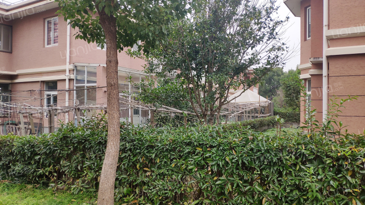 乡间艺墅外景图