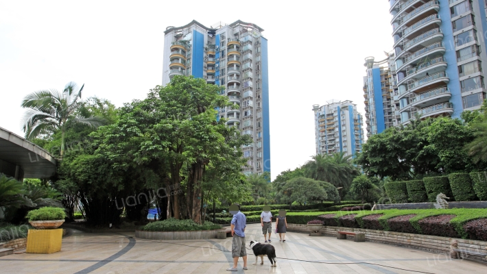 金科金砂水岸外景图