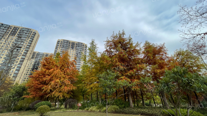 保利熙悦外景图