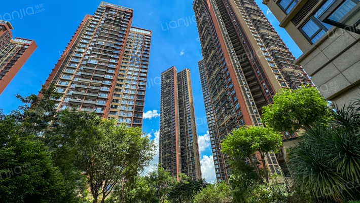 朗泓龙园大观外景图