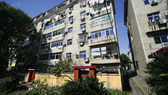 老师集资房外景图