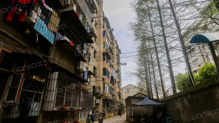 巴梅巷2号外景图