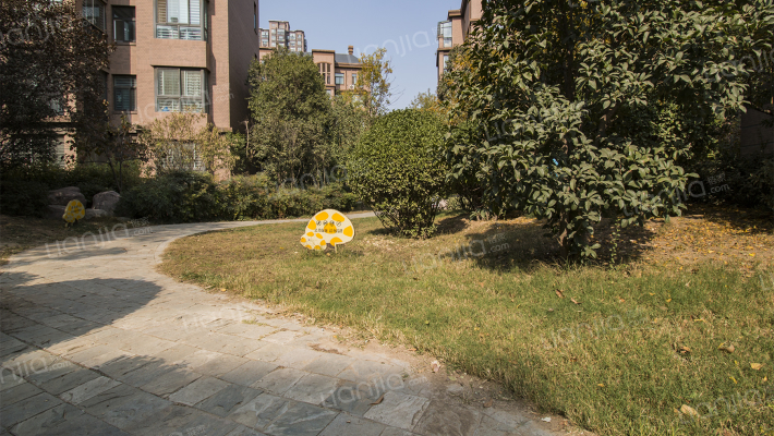 橡树玫瑰城外景图