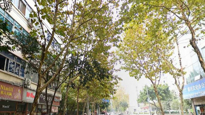 福字街1号外景图