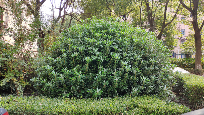 钟楼新村外景图