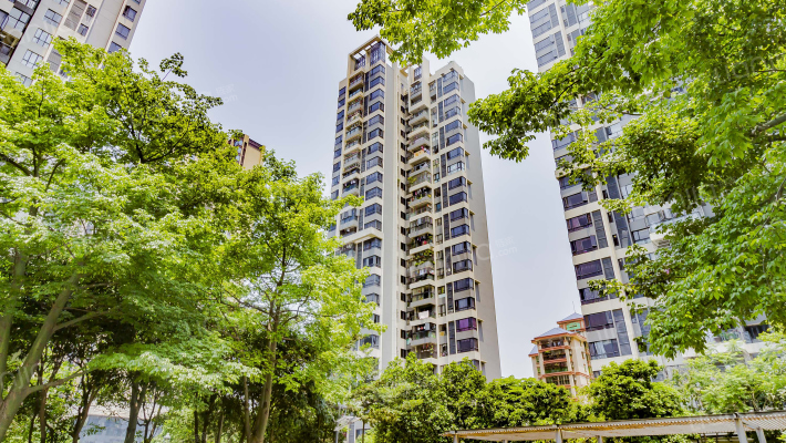 天丰誉城外景图