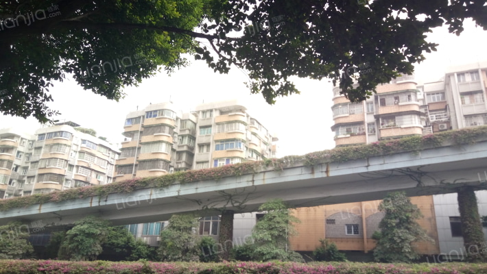 鹤苑小区外景图