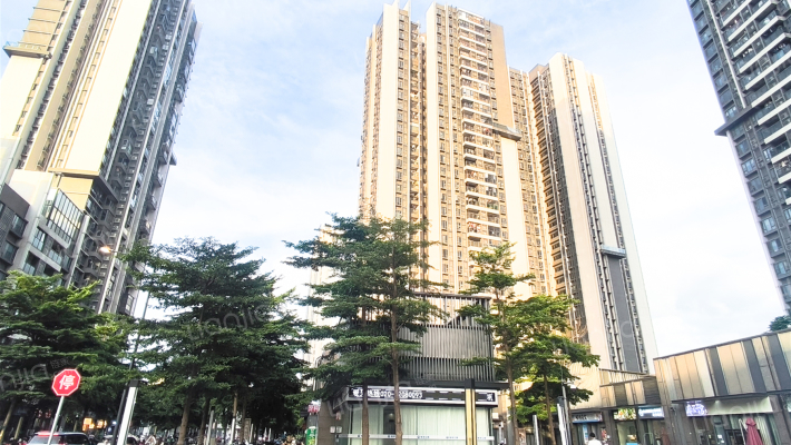 保利紫云外景图