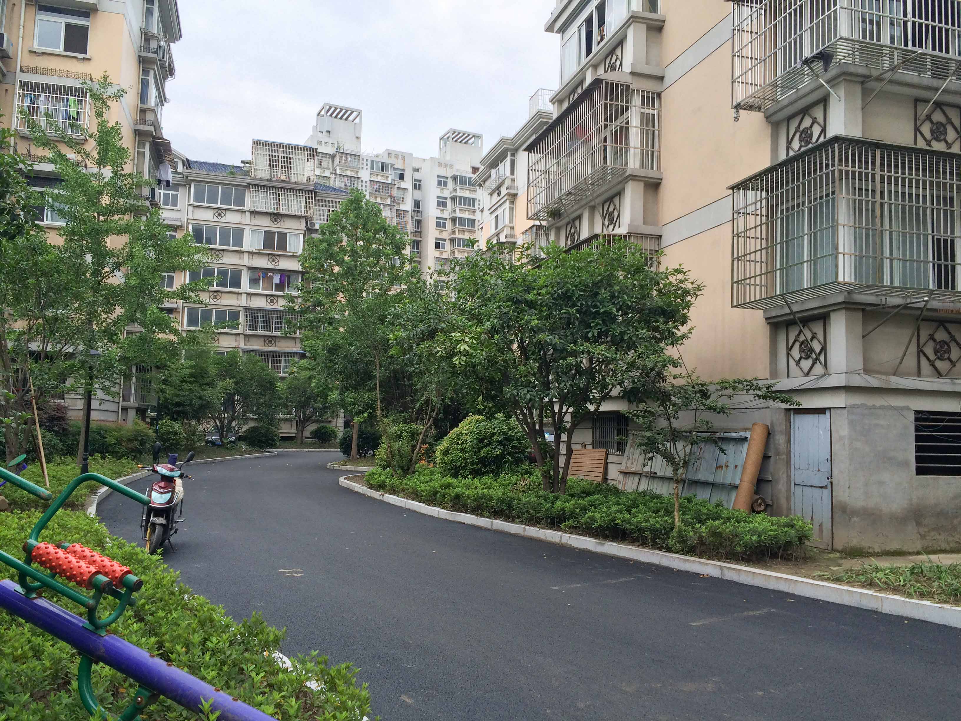 迎春小区小区实景 13