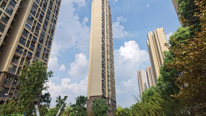 锦华星光苑外景图