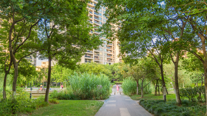 海上海新城(公寓)外景图