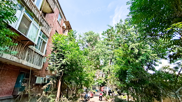 东豆腐砦168号外景图