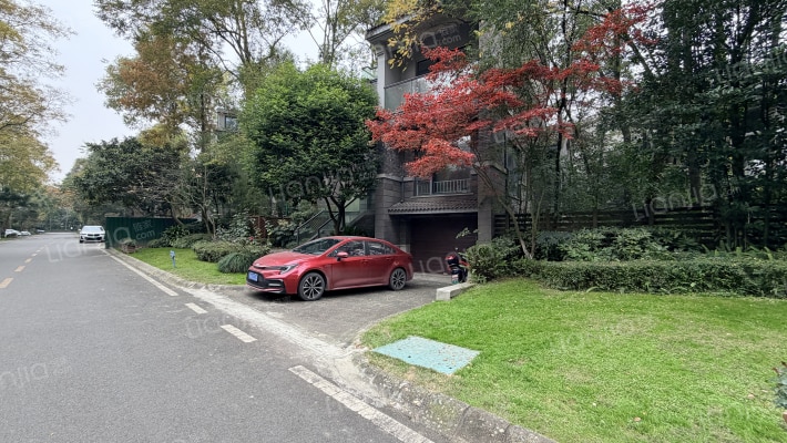 子云东路98号附1号外景图