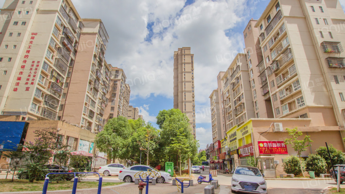 十里水岸桃花外景图