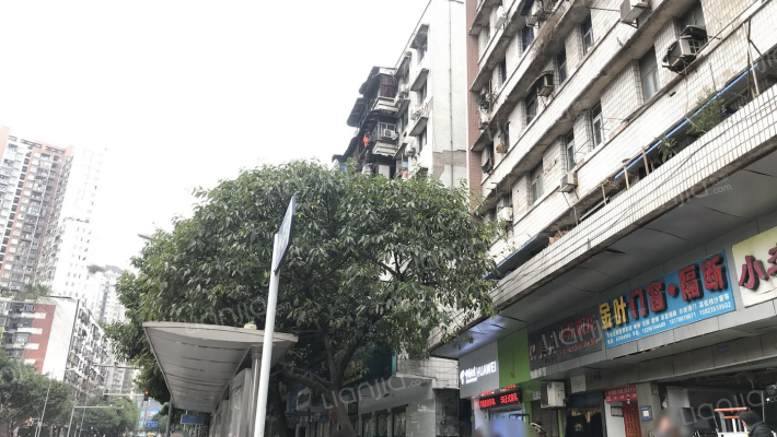 建新东路313号外景图