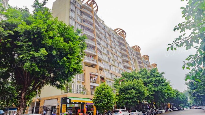 云星夏日南湾外景图