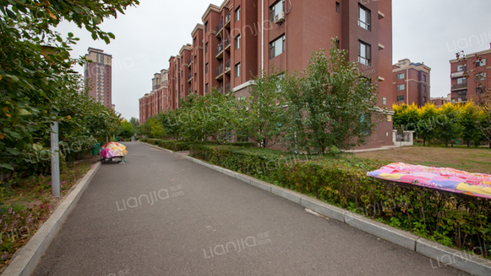 万龙第十城A区外景图