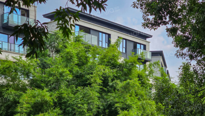 万科棠樾七期外景图