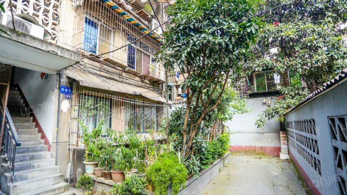 水碾河南三街41号外景图