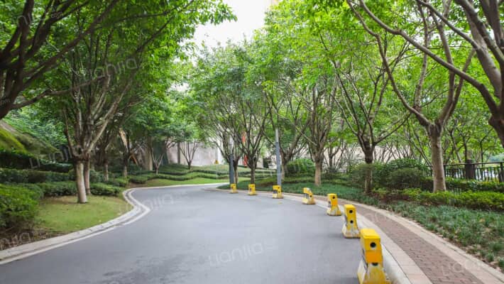 蓝光林肯公园一期外景图