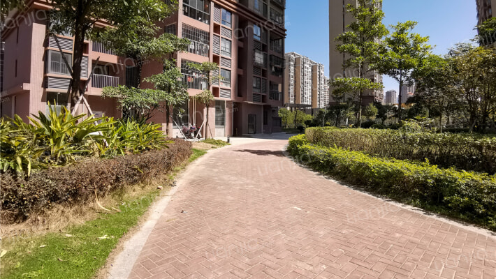 魁岐小区2区外景图