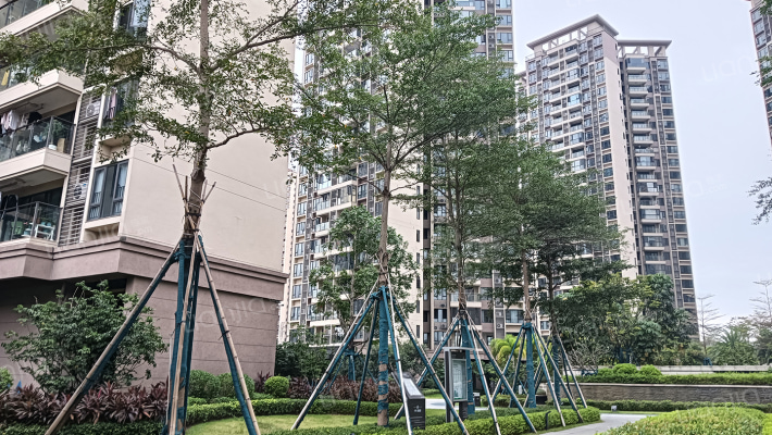 保利茉莉花园外景图