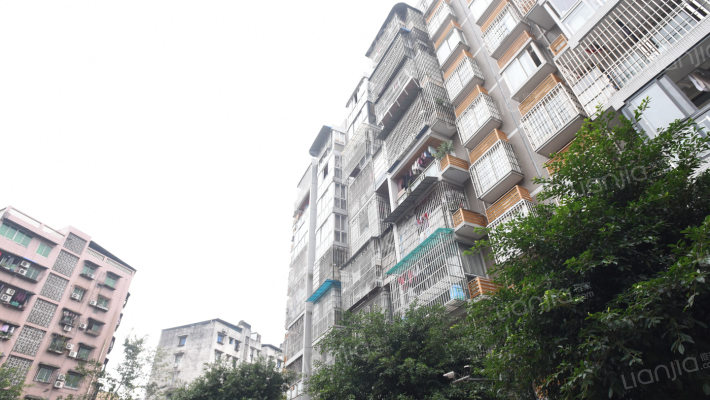 空港金嶺地外景图