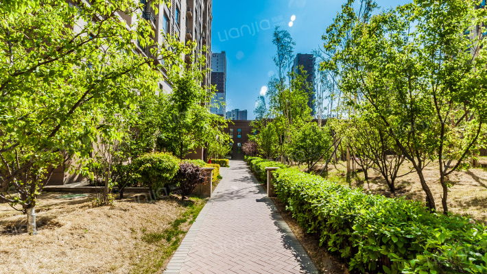 嘉惠红树湾外景图