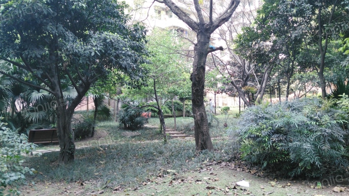 巨星花园外景图