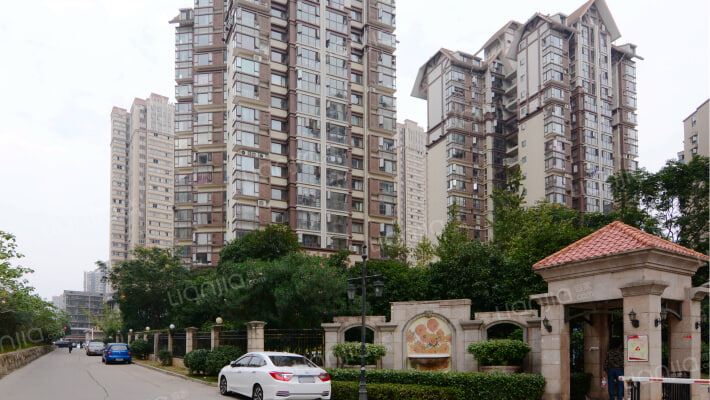 高信向日葵外景图