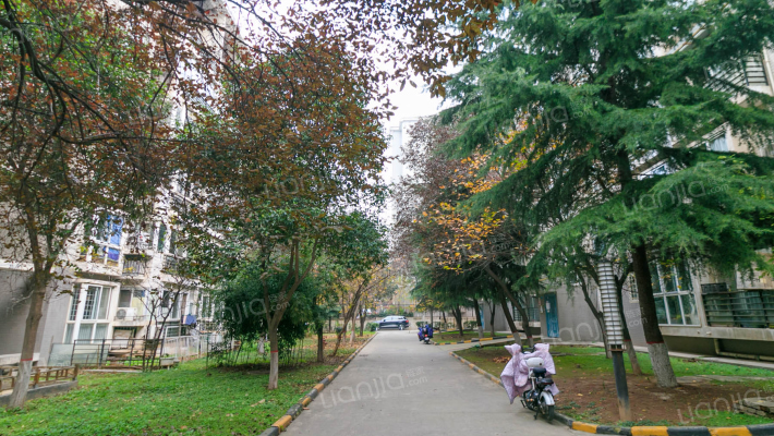 曲江假日新嘉园外景图