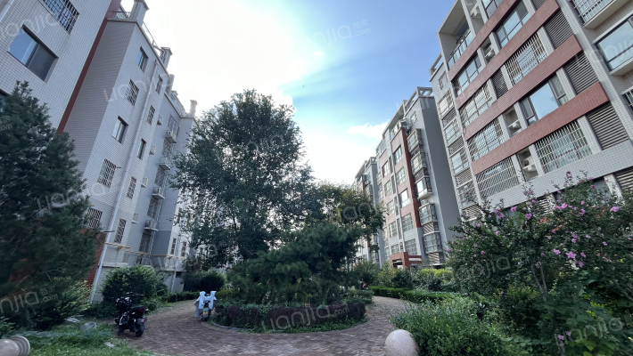 金如意北区外景图