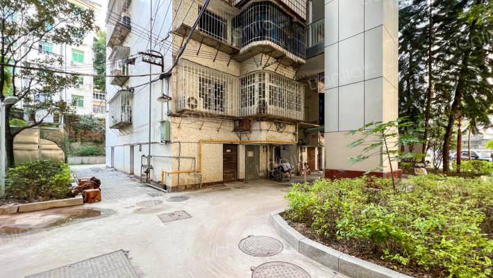 金泉公寓外景图